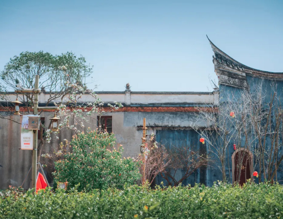 名城悦读丨村庄还未叫醒春泥，田野里，一些草已蠢蠢欲动