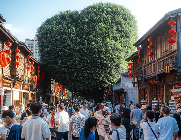 名城悦读丨记忆结成绳索，点缀星星之影