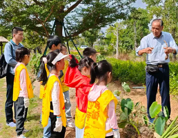 名城少年乡行记——“芋”见梁厝时空寻宝记