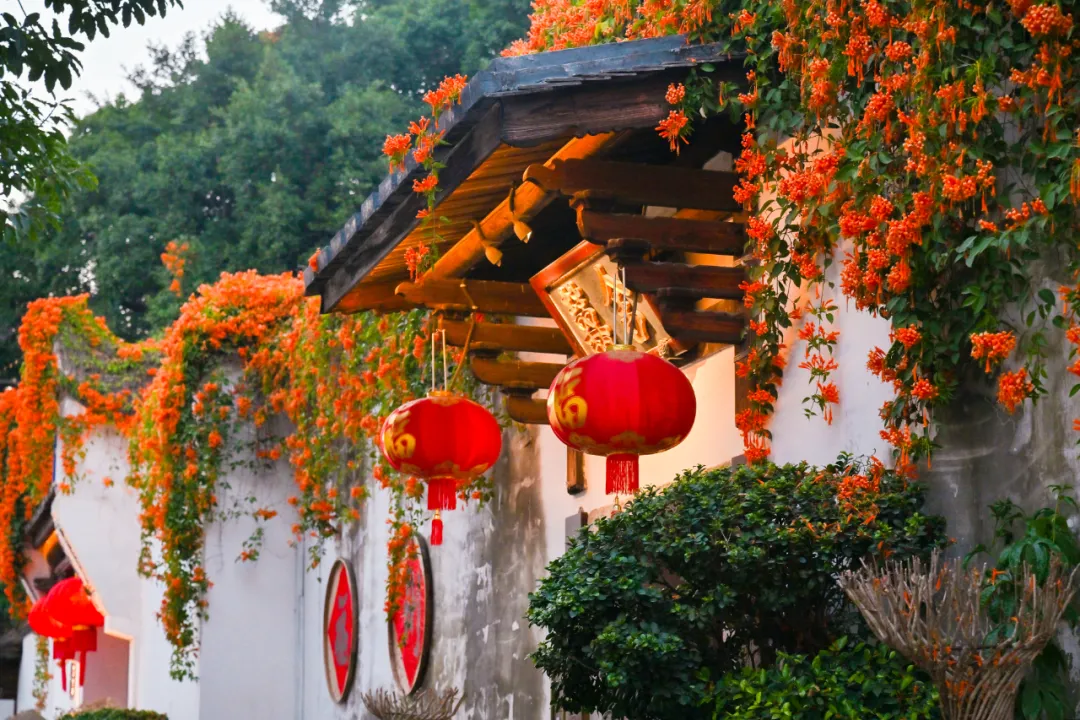 藏在三坊七巷的春日浪漫，被一抹橙红点亮