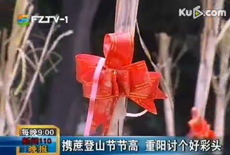 携蔗登山节节高 重阳讨个好彩头