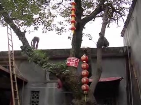 福州将继续推进三坊七巷文保修复，争创“5A景区”，申报“世遗” 